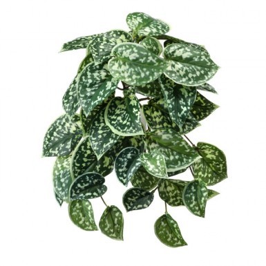 Scindapsus Pictus Bush  - Greenery & Floral - bulk sales artificial greenery